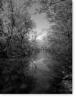 coster_scott_emerald_necklace_book_cover